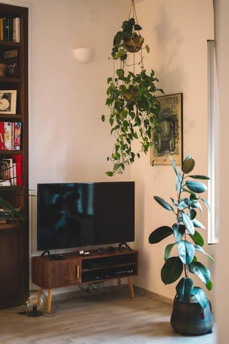 Vaticano/Trastevere Floreal Suite ローマ エクステリア 写真